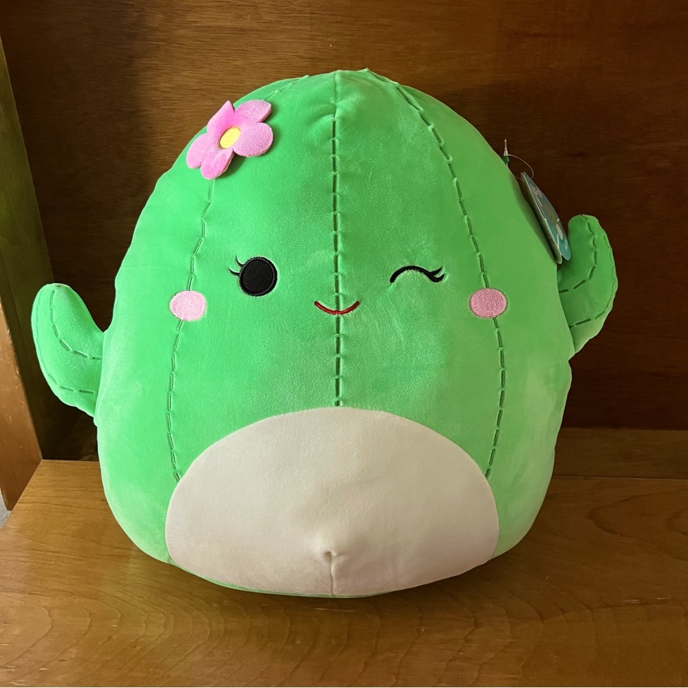 Manzanita the Cactus Squishmallow